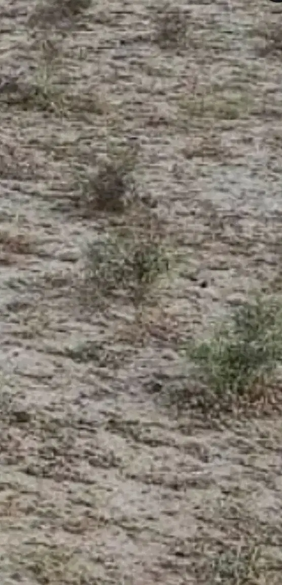 فروش زمین جرسقان