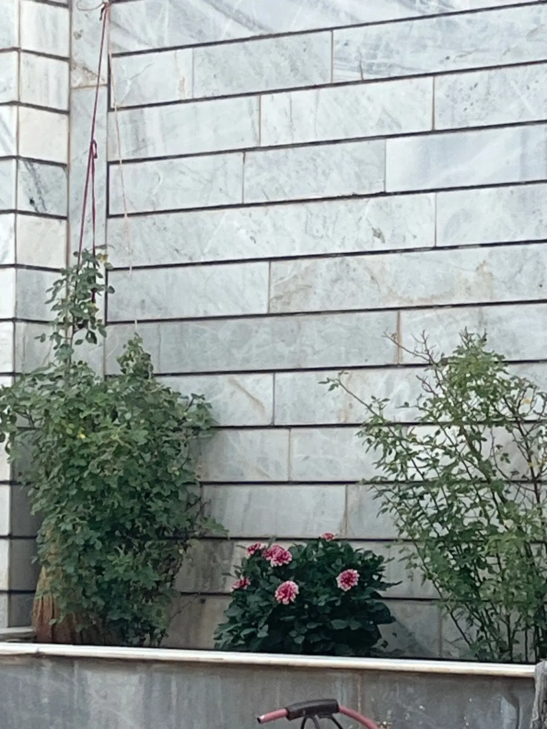 اجاره اپارتمان