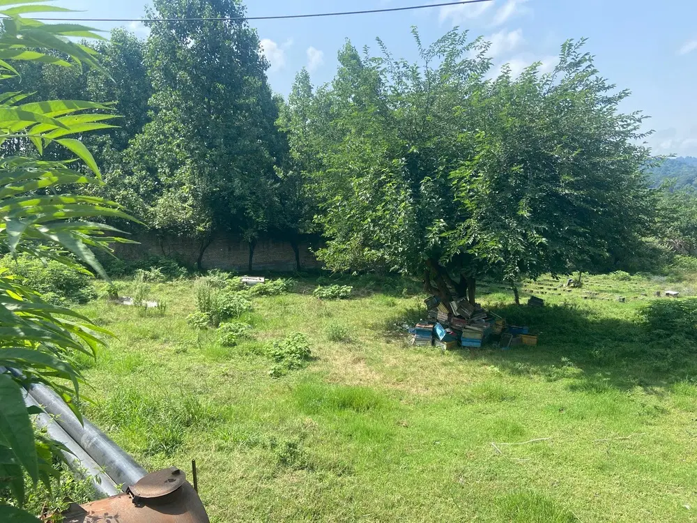 زمین مسکونی برنجستانک