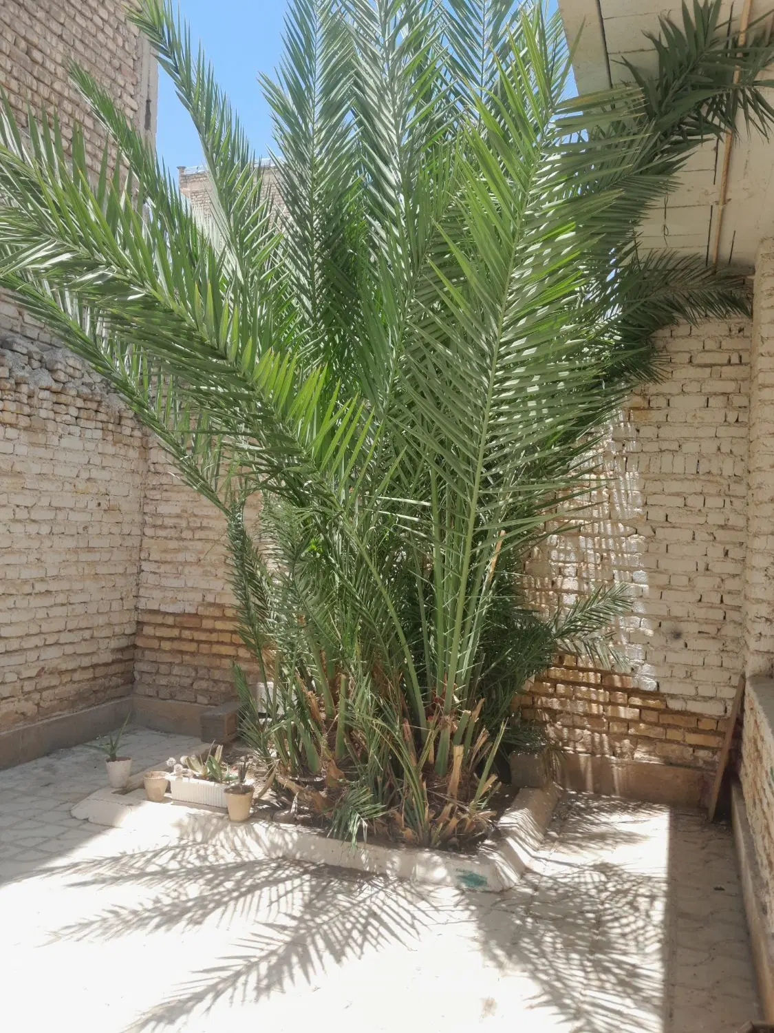 یک منزل مسکونی 120 متری