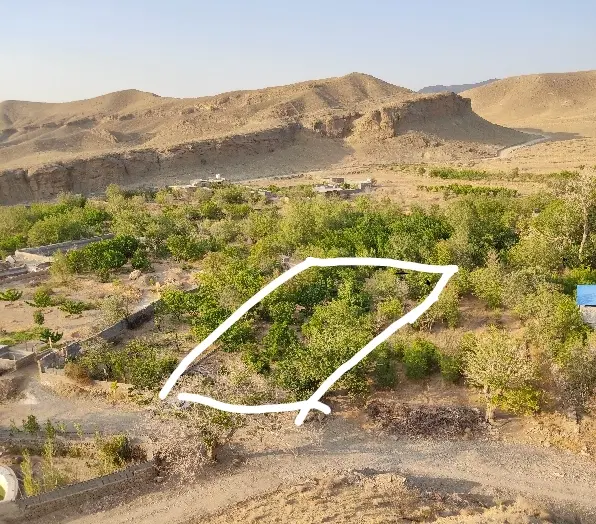 باغ میوه