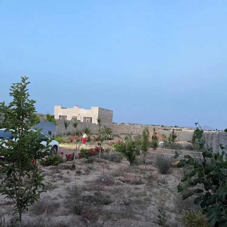 زمین 1000متری ماریان نقد و اقساط
