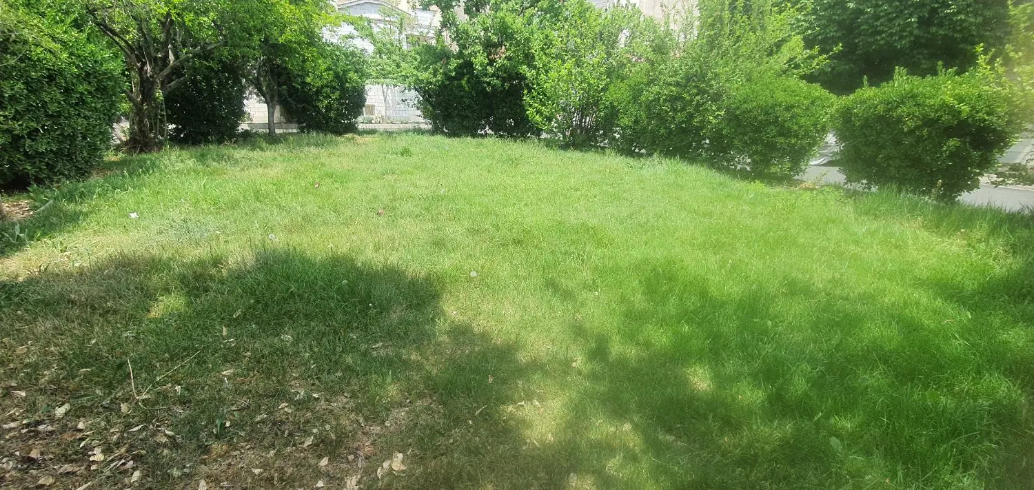 زمین باغی تهاتر با ماشین