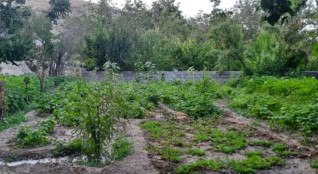 فروش باغ و ویلا بهدان سرسبز و باصفا