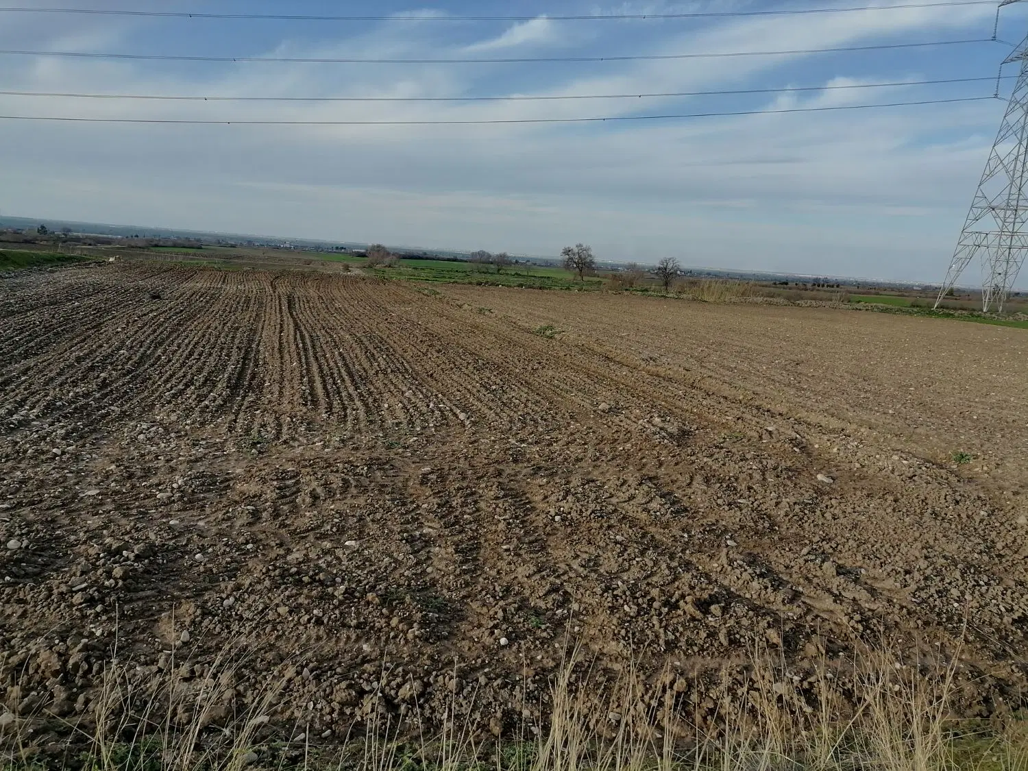 زمین کشاورزی در روستای ورسن 1900متر متر 500 تومان