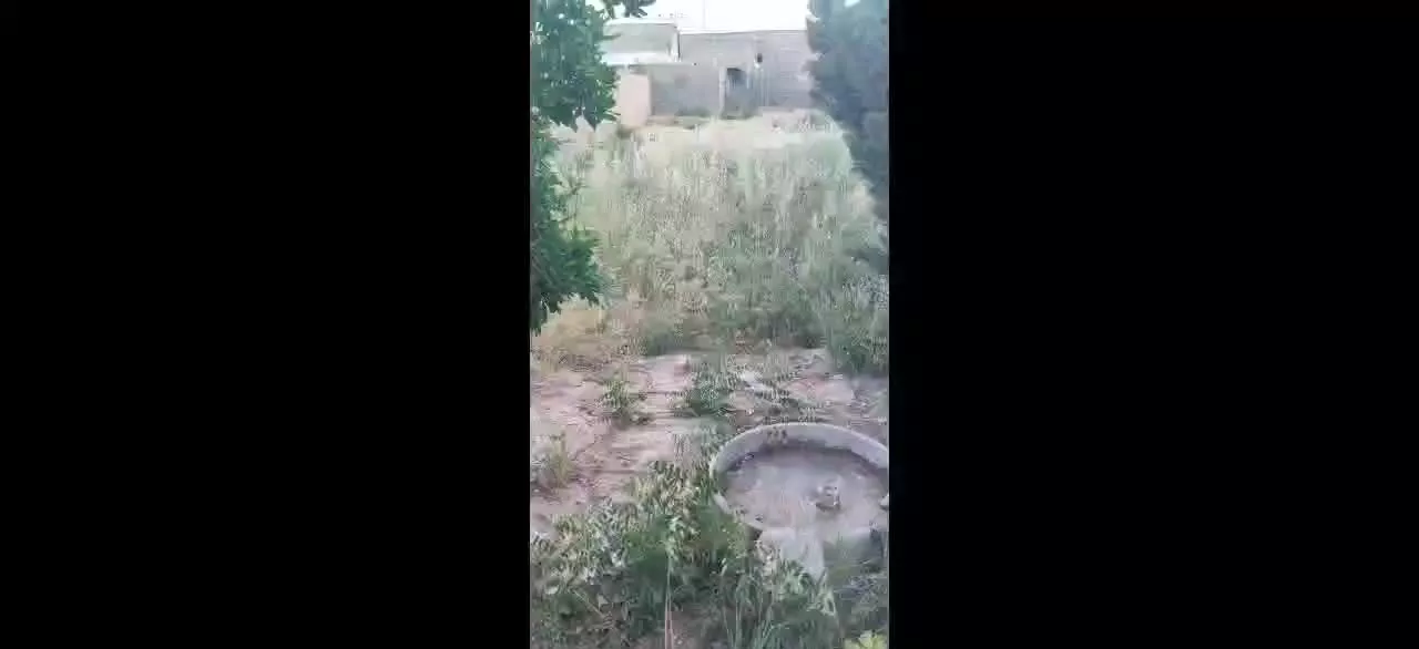 ۶۰۰ متر زمین