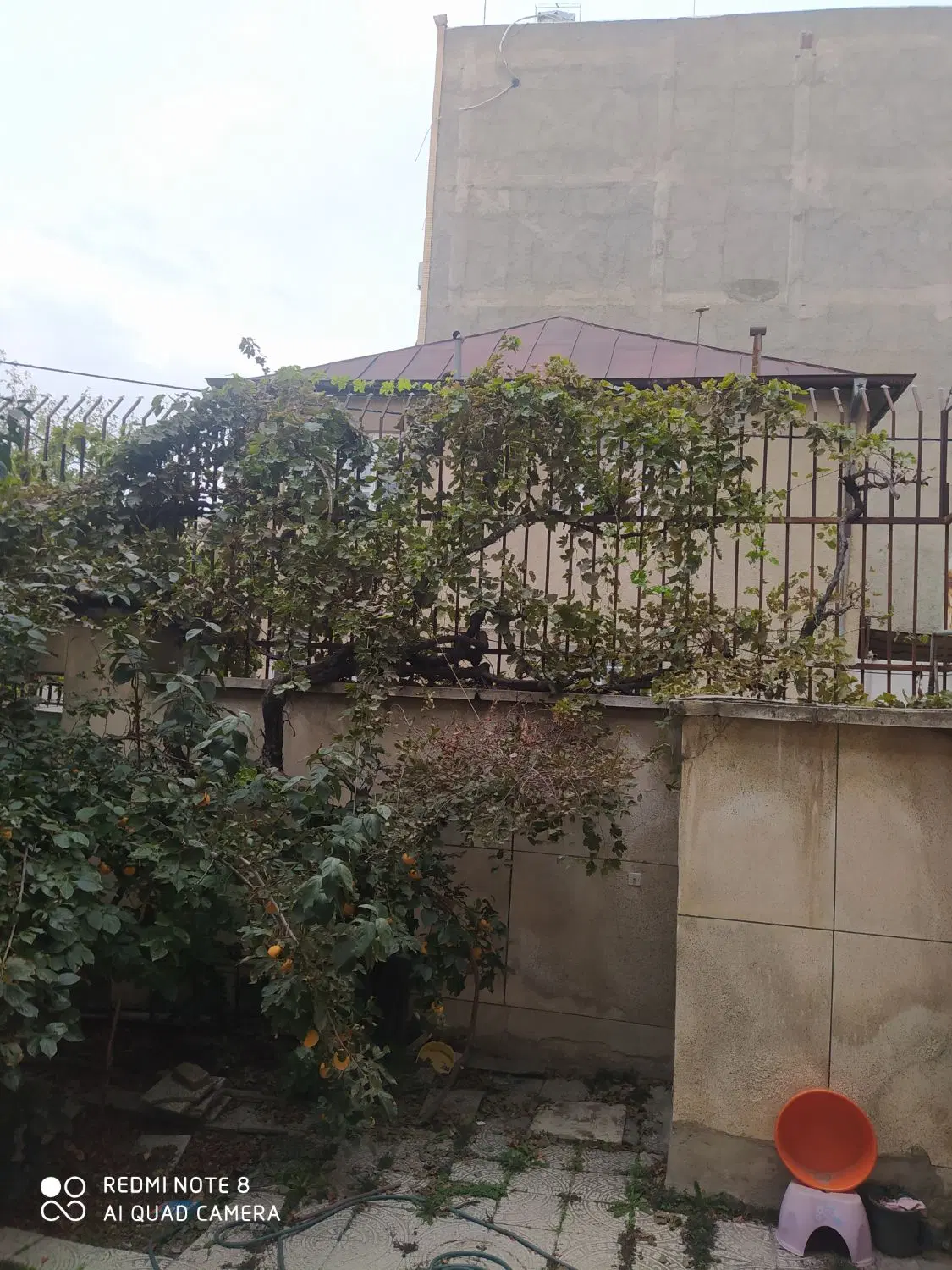 اجاره ی خانه ی در بست سرداران