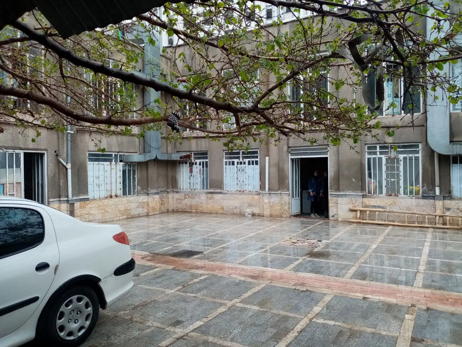 اسکلت خانه