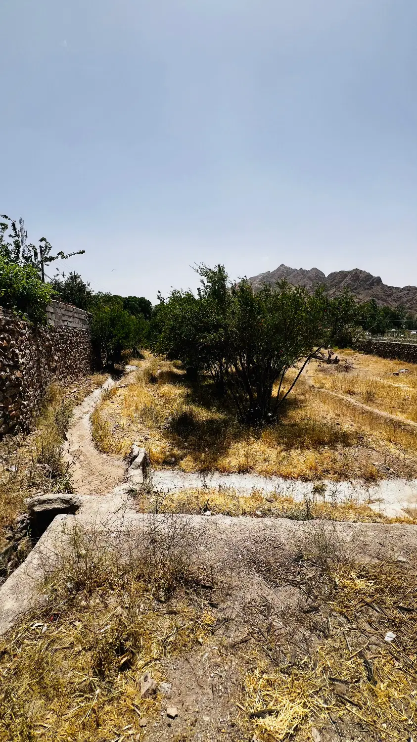 زمین فروشی داوران