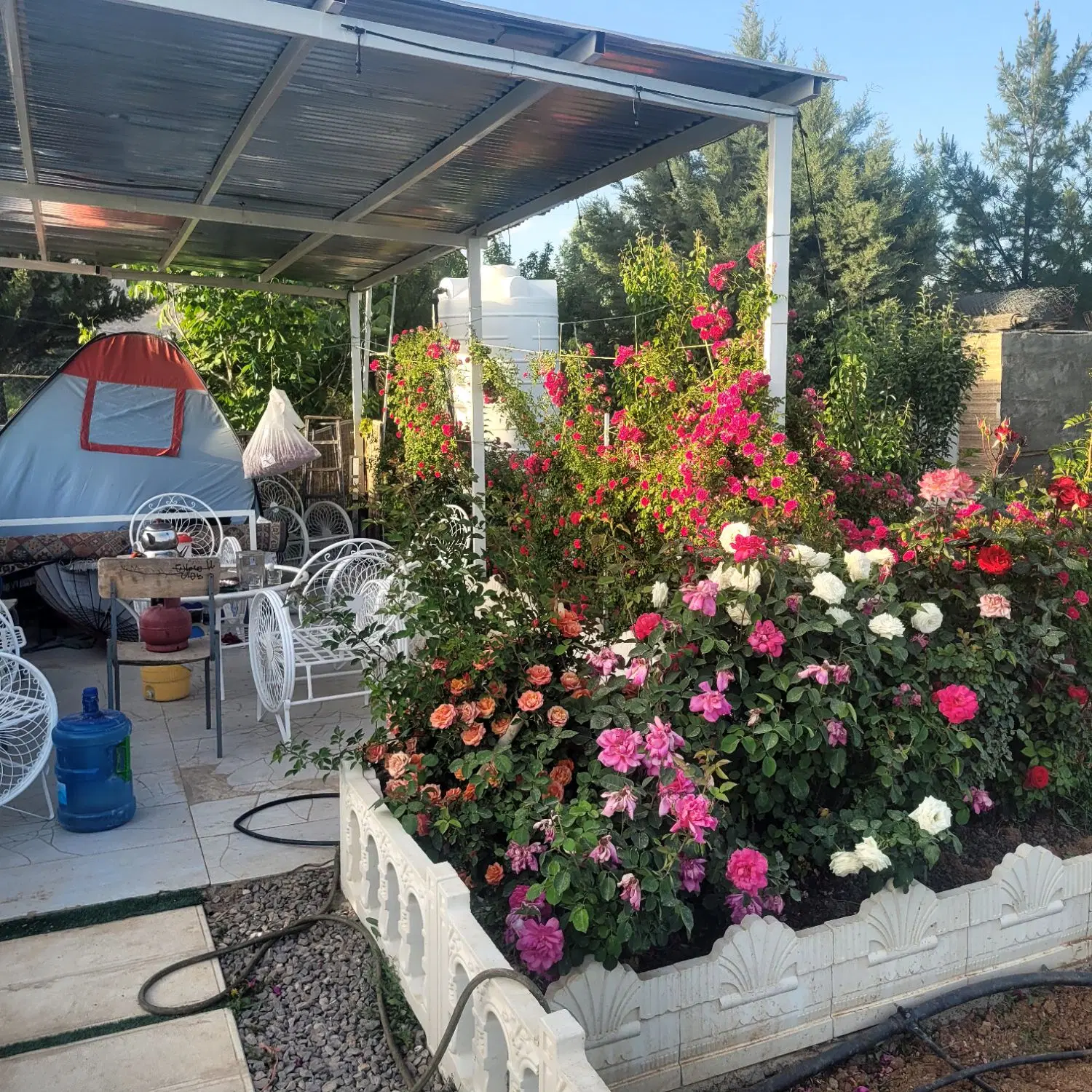 سالن