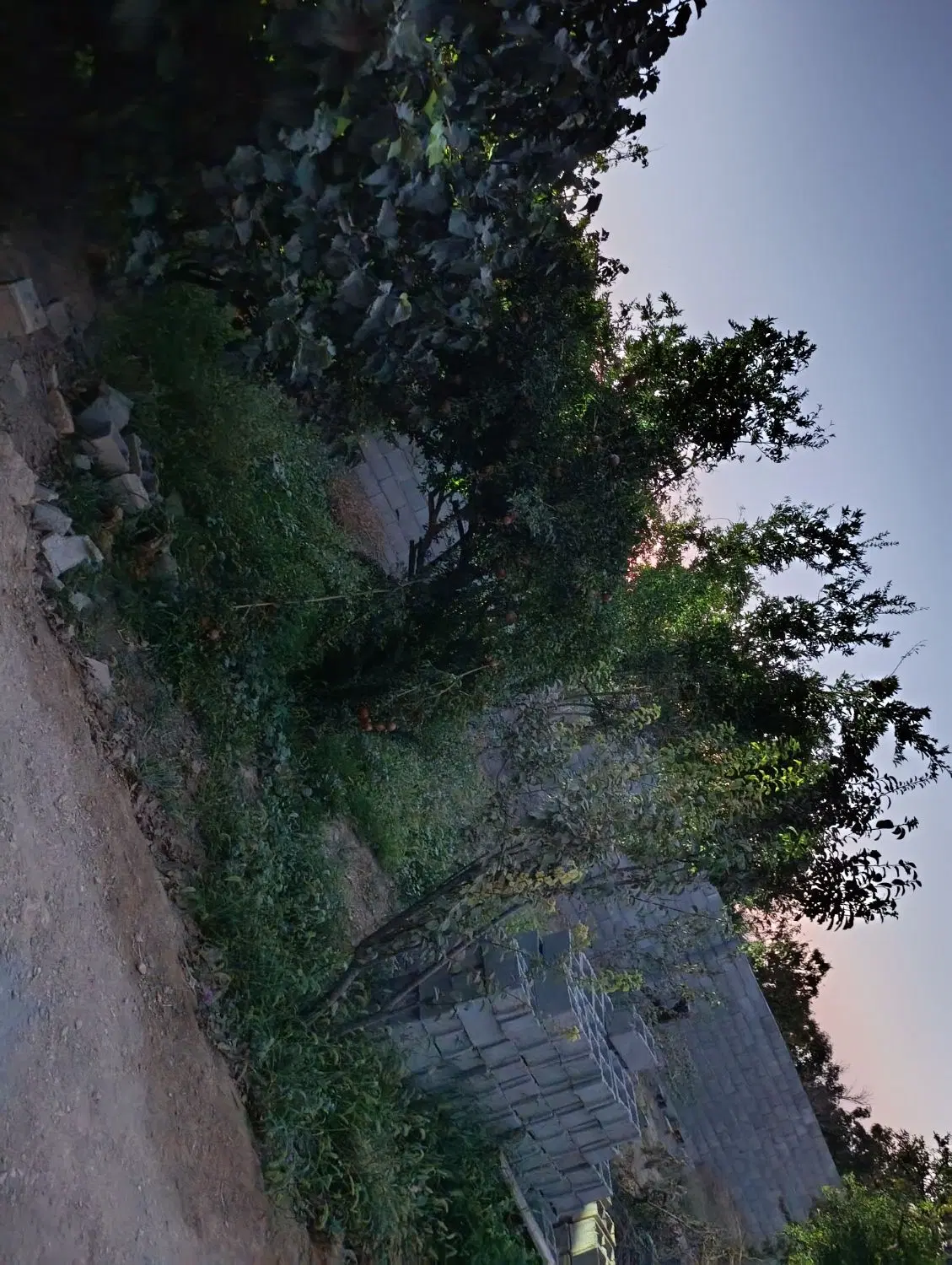 باغ چهار دیواری نجف آباد
