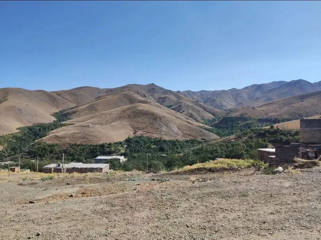 زمین ۲۶۰ متری