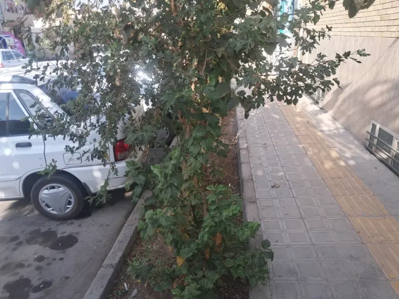 ۱۸۰ متر زیرزمین  بهترین موقعیت مکانی جهت اجاره