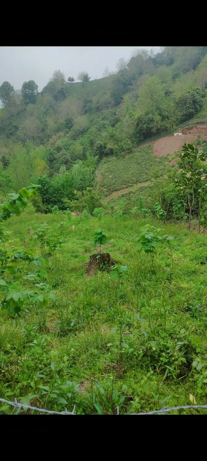 زمین روستایی