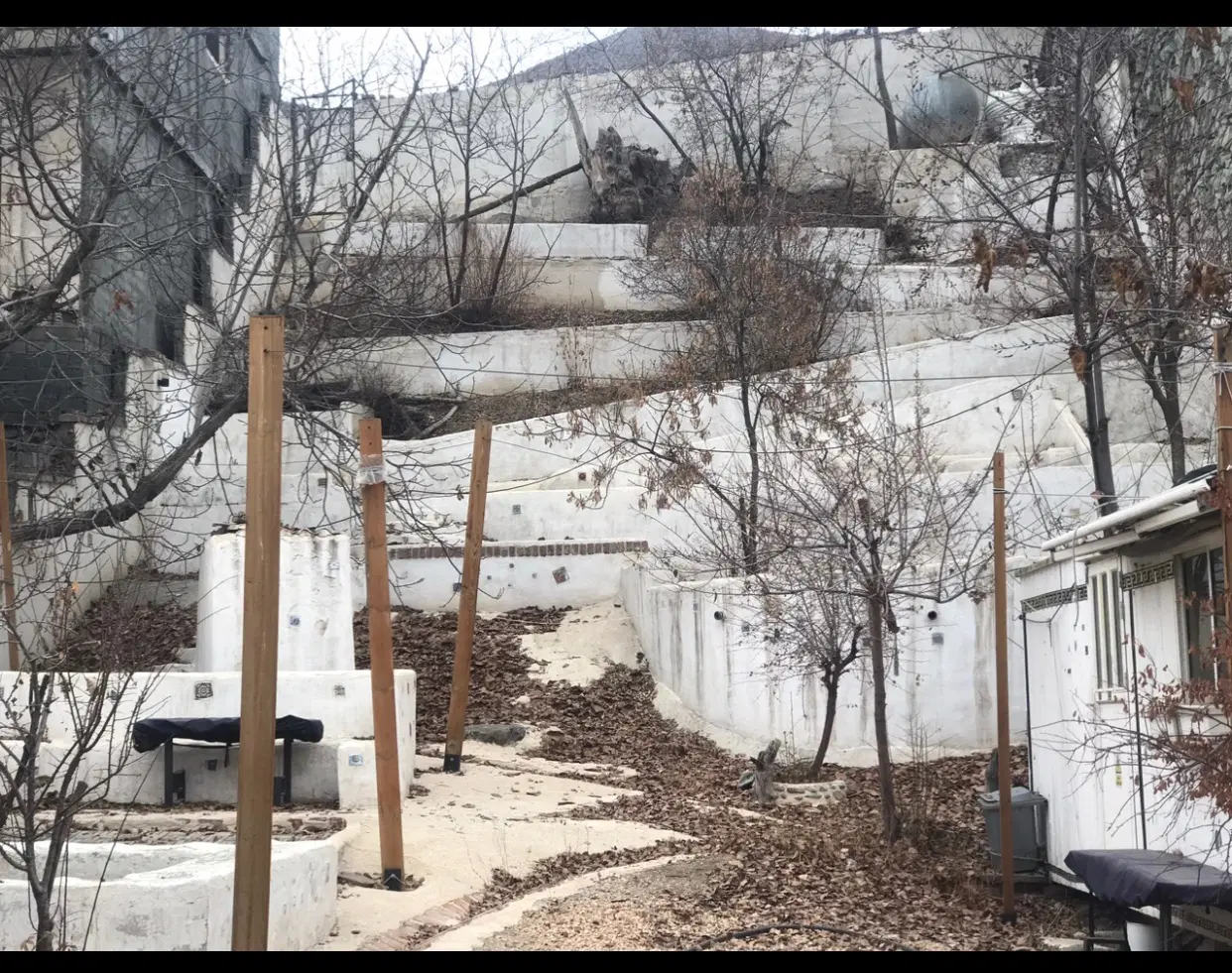 زمین باغی