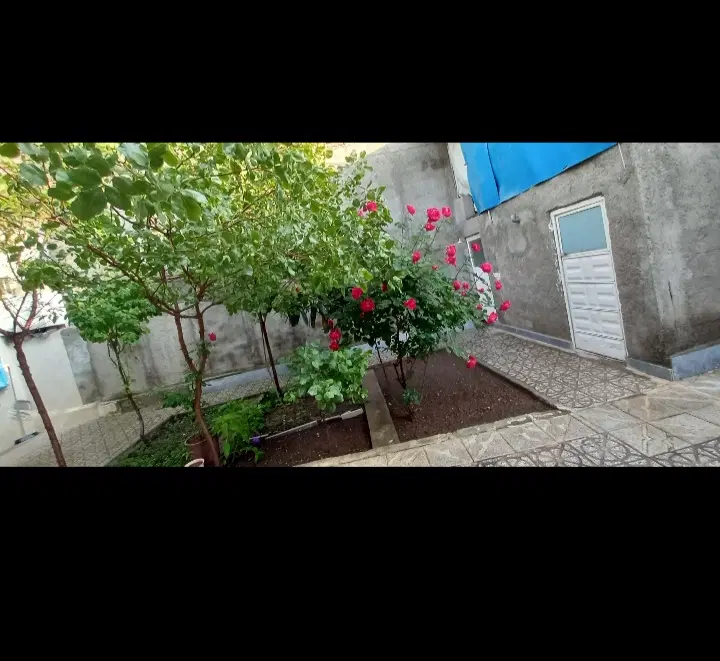 سوئیت در کلیبر