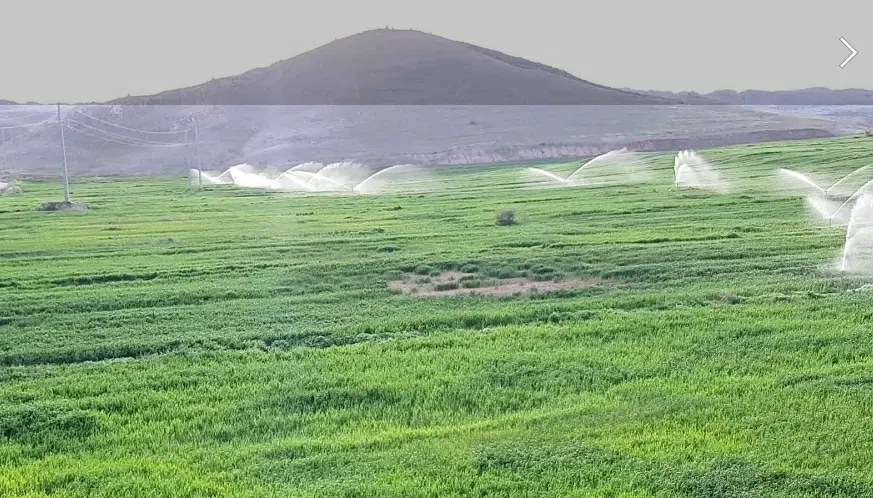 اجاره زمین کشاورزی