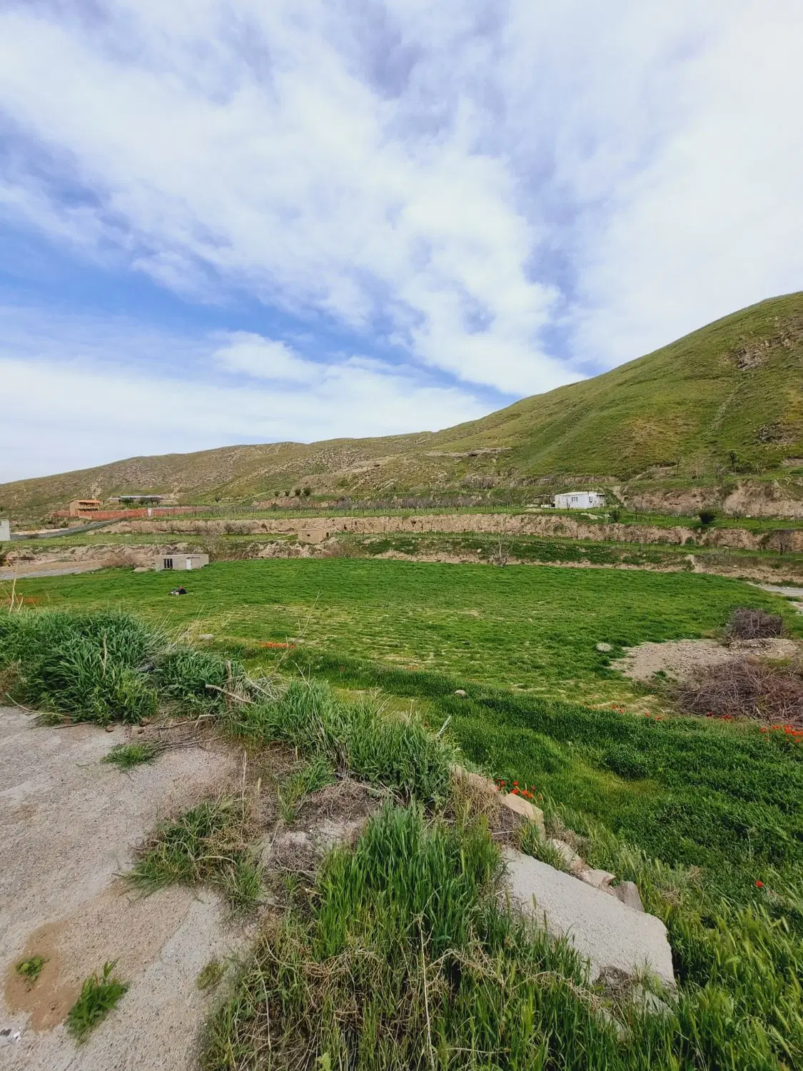 زمین و تاسیسات دامداری در عارفی ۱ ده غیبی