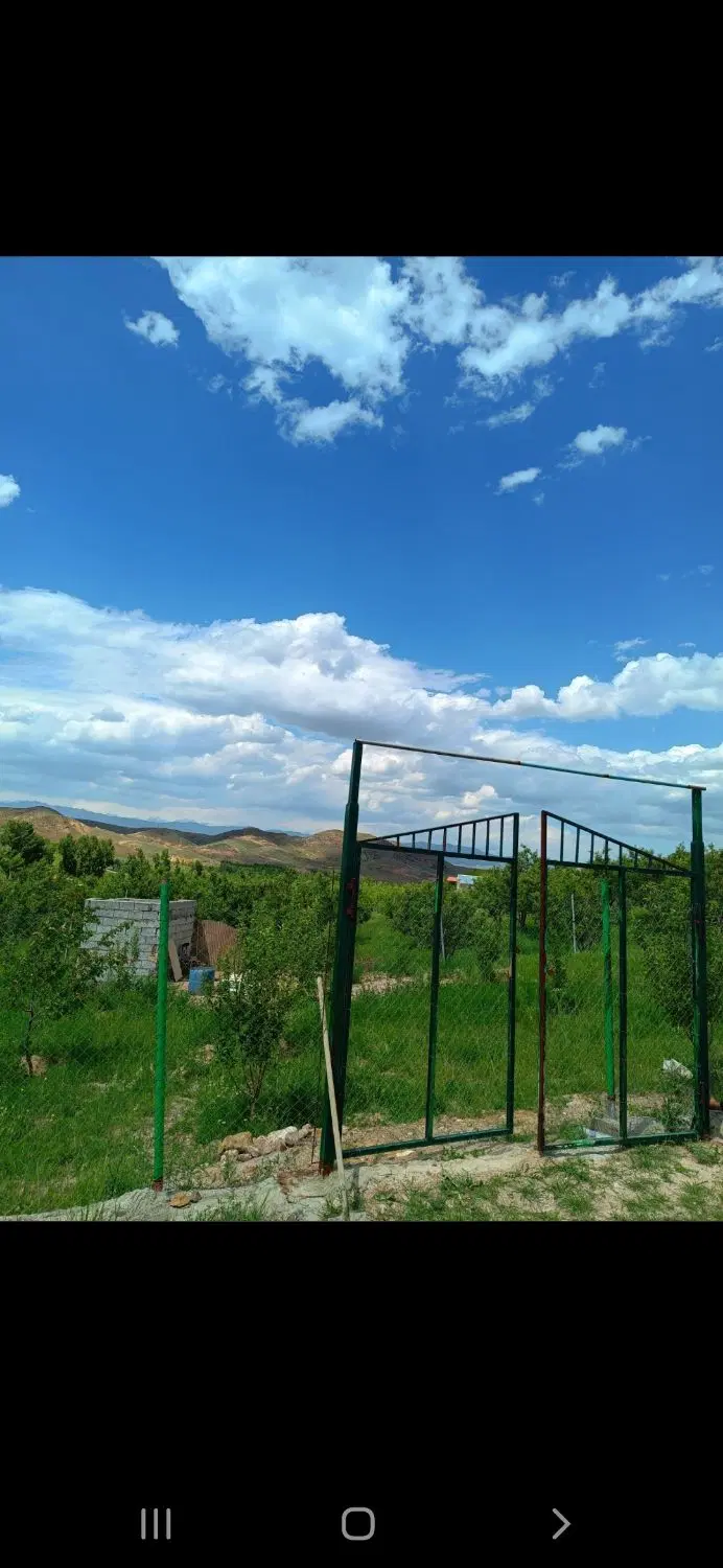 باغ سرسبز