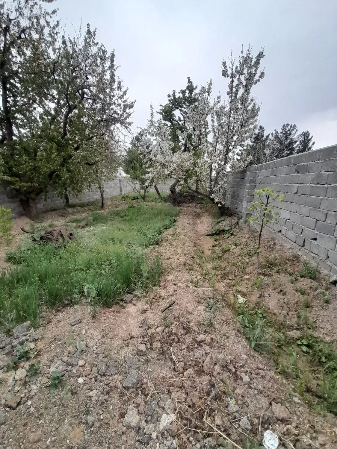 ۳۵۰ متر ۴دیواری مجموعه کامل شسته رفته