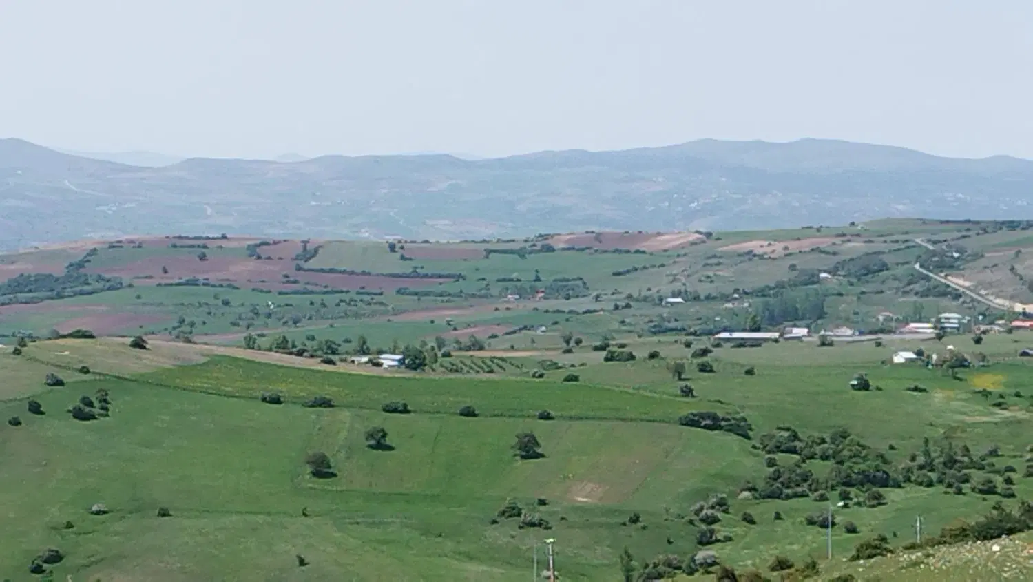 زمین