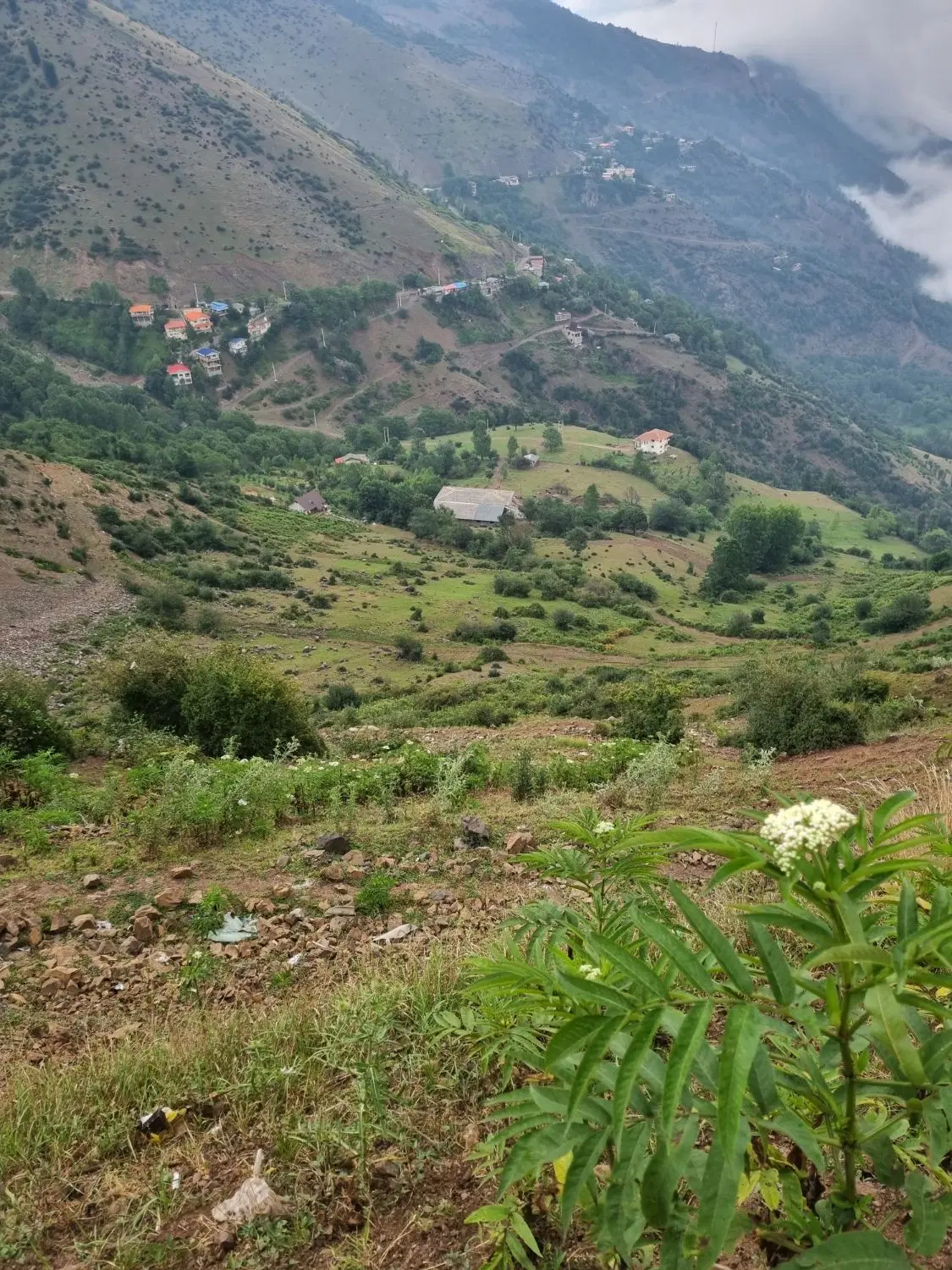 فروش زمین