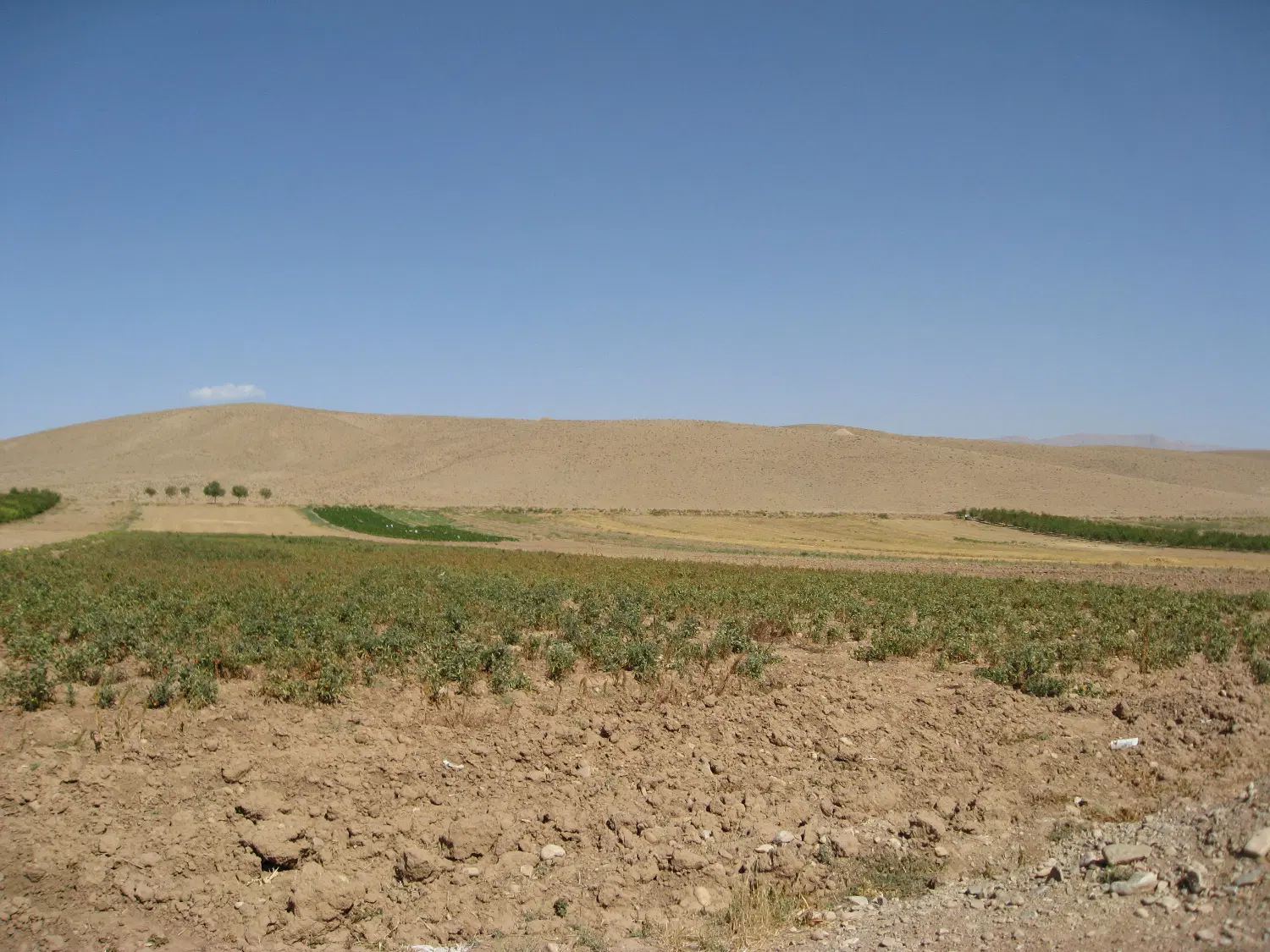 زیر زمین تجاری اجاره ای