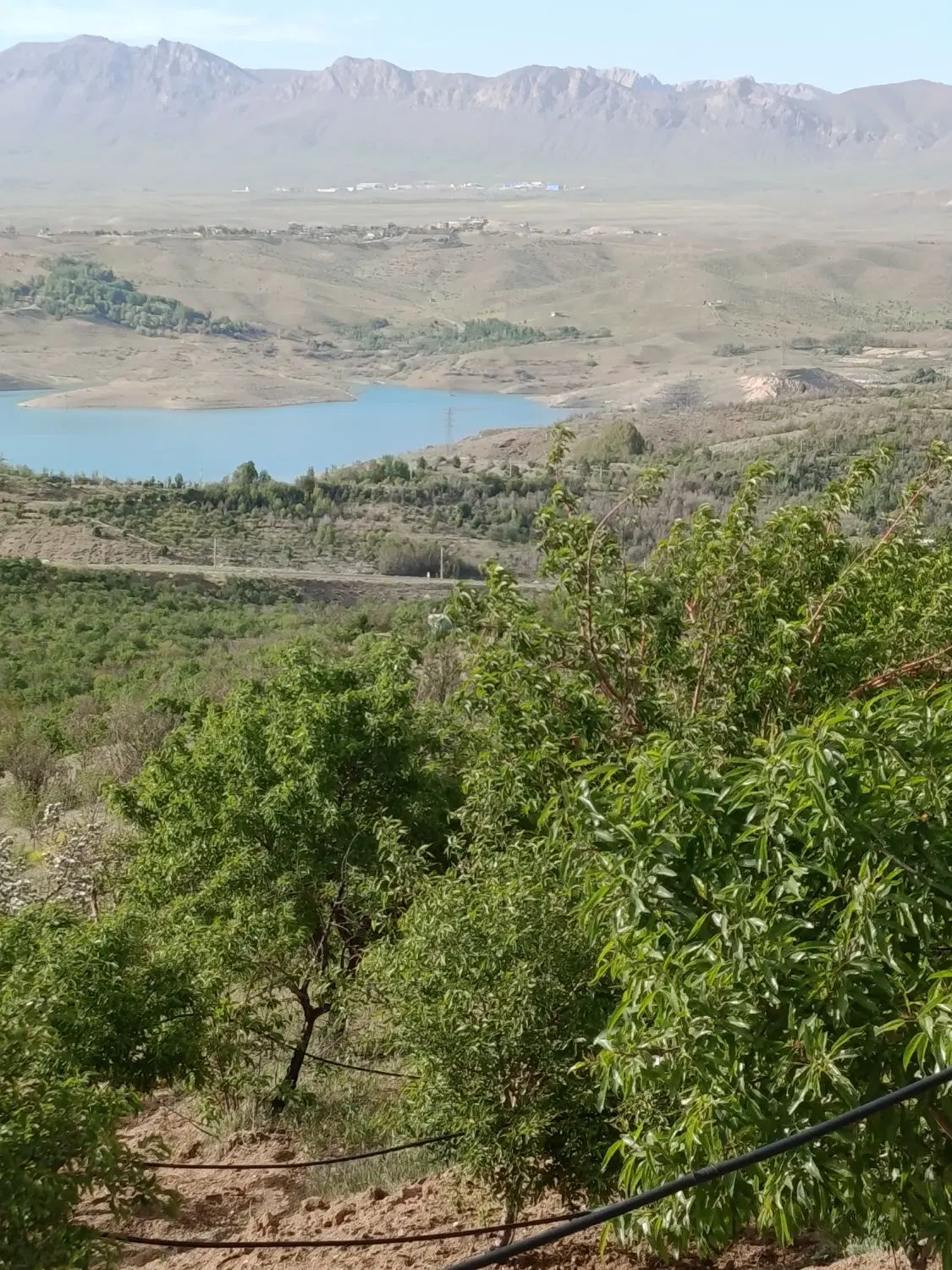 معاوضه باغ با ماشین