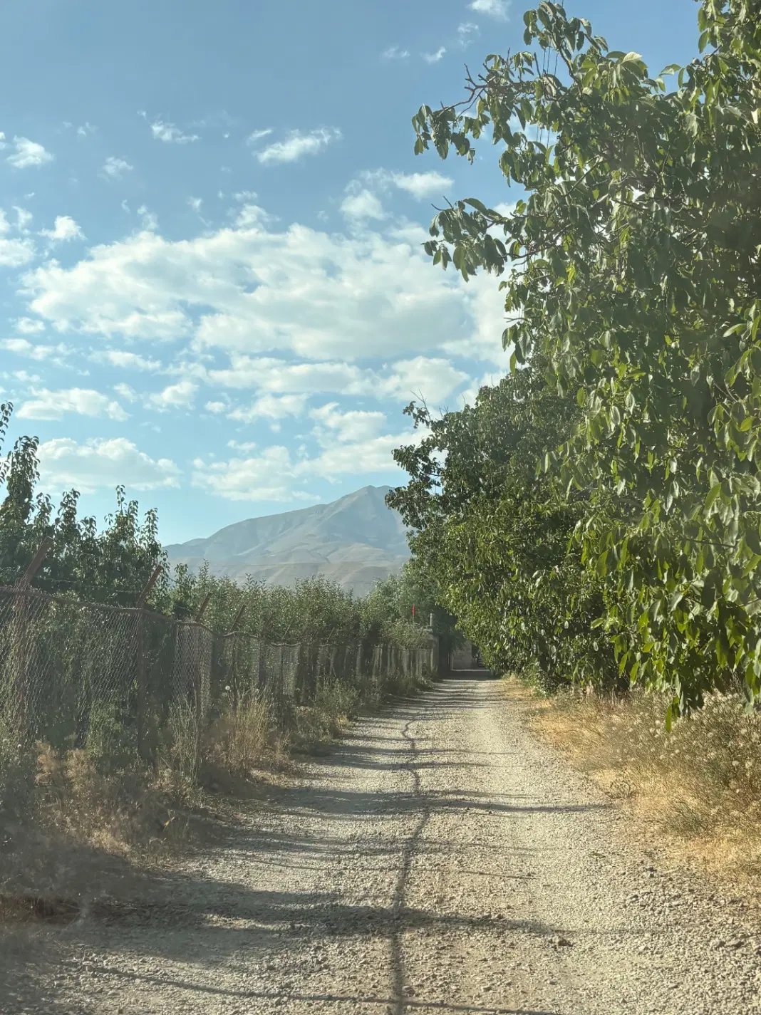 ۲۵۰ متر جابان موقعیت عالی آب برق گاز