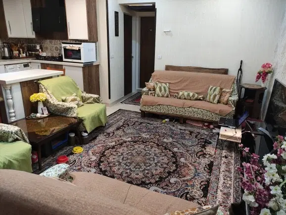 آپارتمان 47 متری کارون