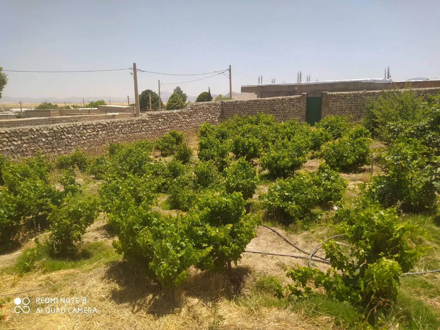 فروش زمین مسکونی