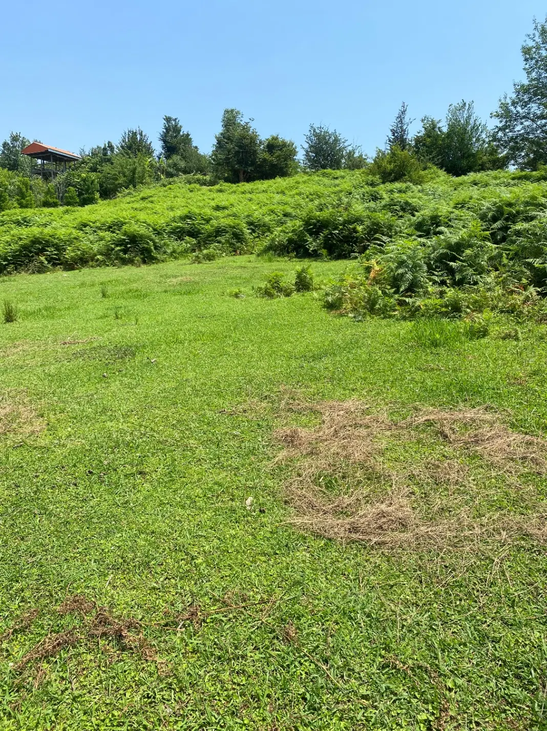 زمین مسکونی محدوده سقالکسار چماچا مژده