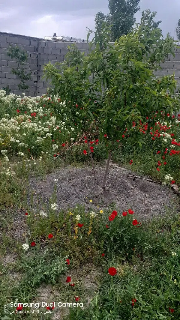 قطعه ویلایی باغی صوفیان،سرکندیزج