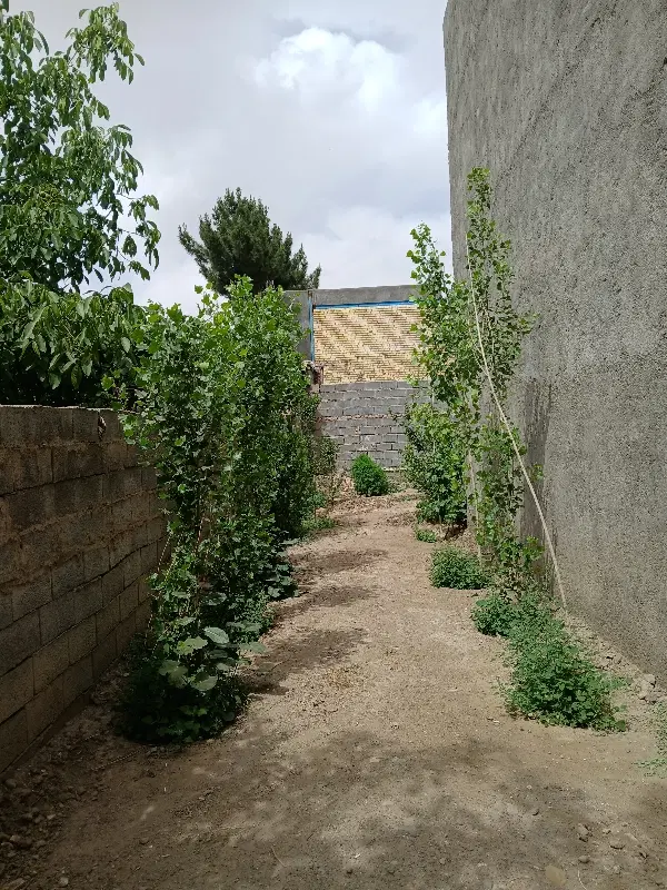 باغچه