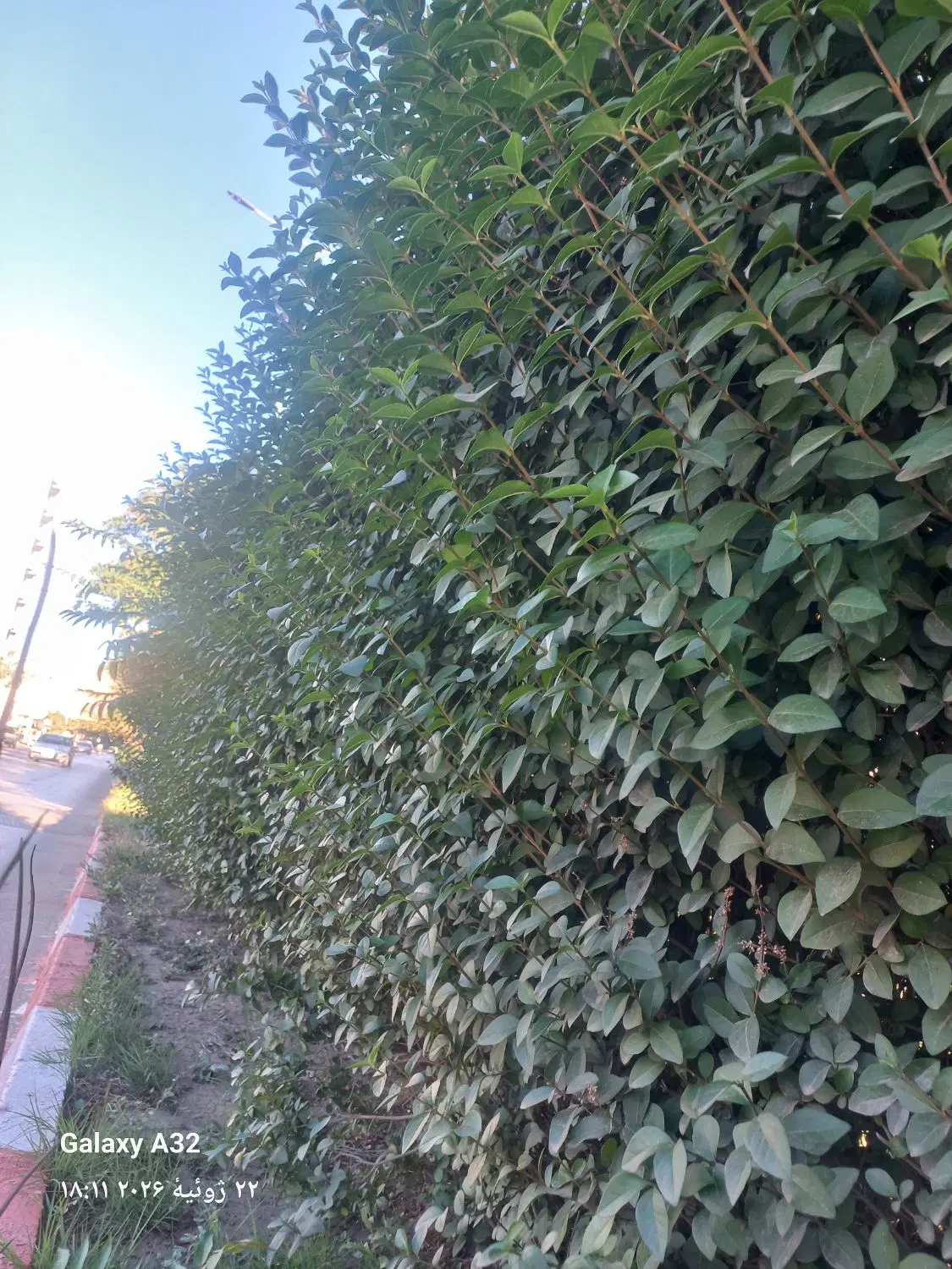 زمین به متراژ ۴۰۰