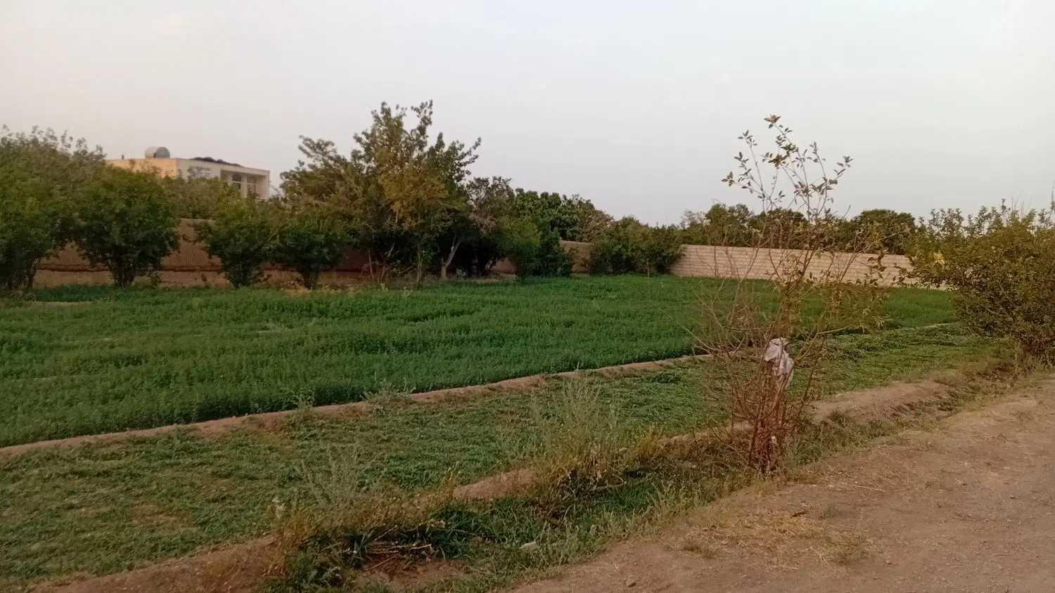 باغ فروشی محدوده بلوار فجر