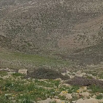 فروش زمین تجاری