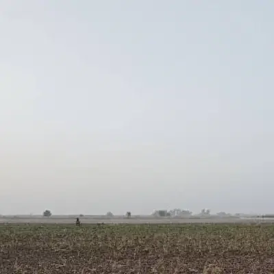 نیازمند ۹هکتار زمین کشاورزی اجاره