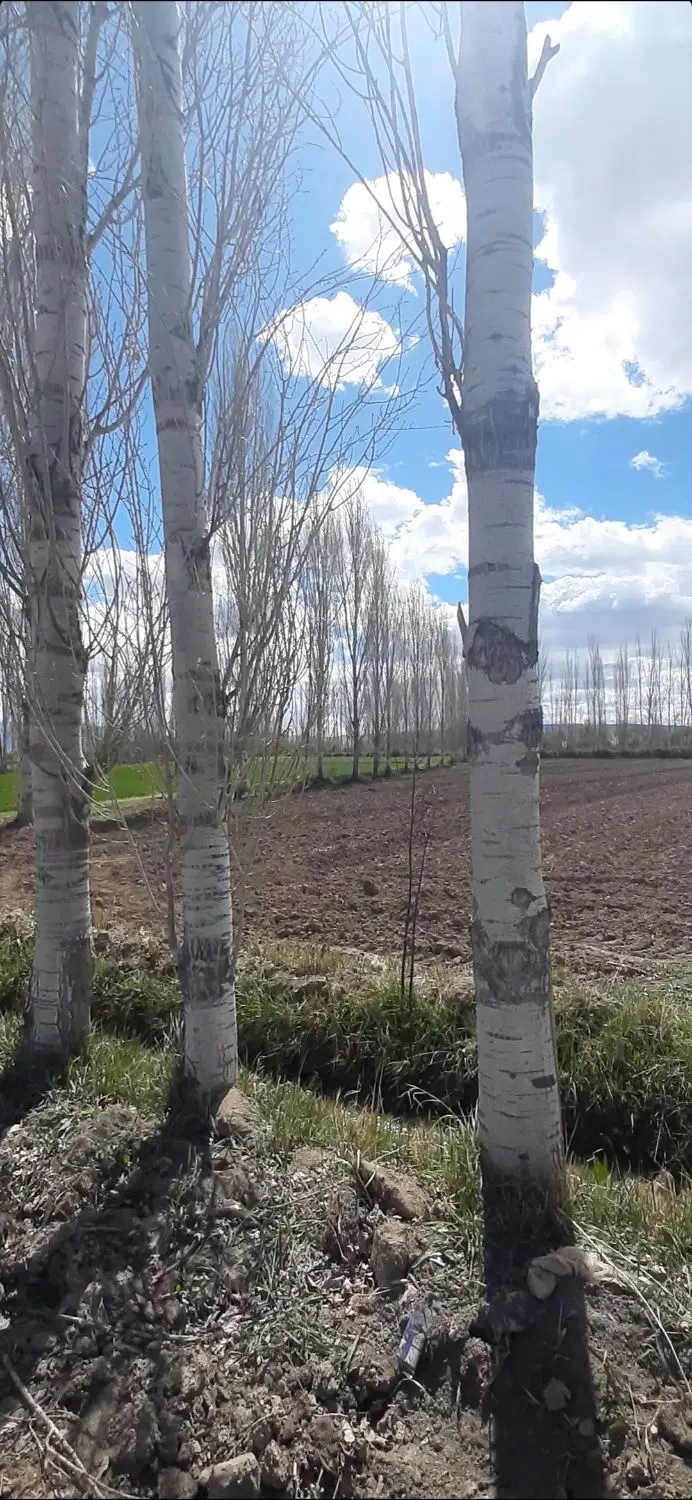 فروش زمین زراعی