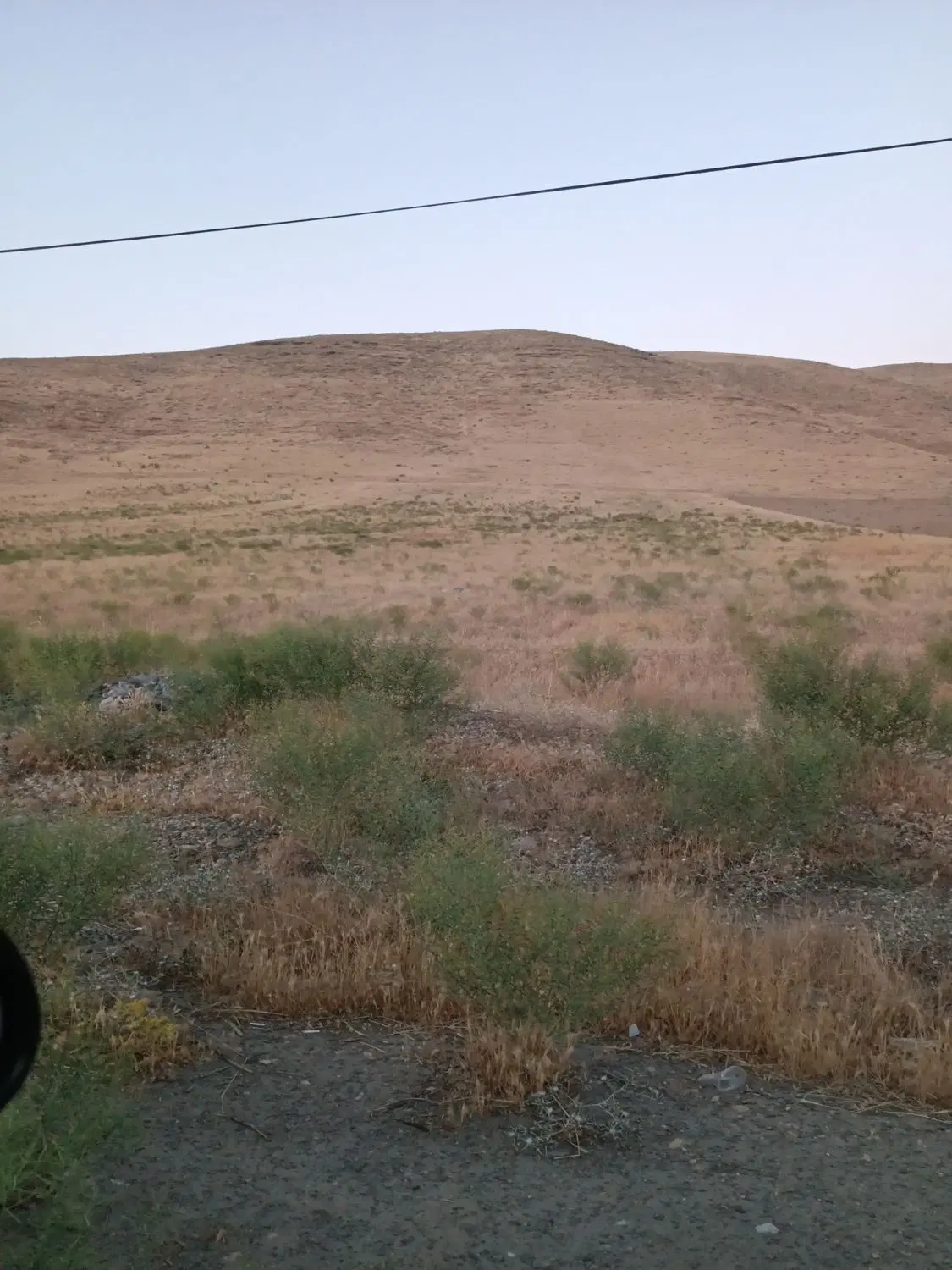 زمین زراعی