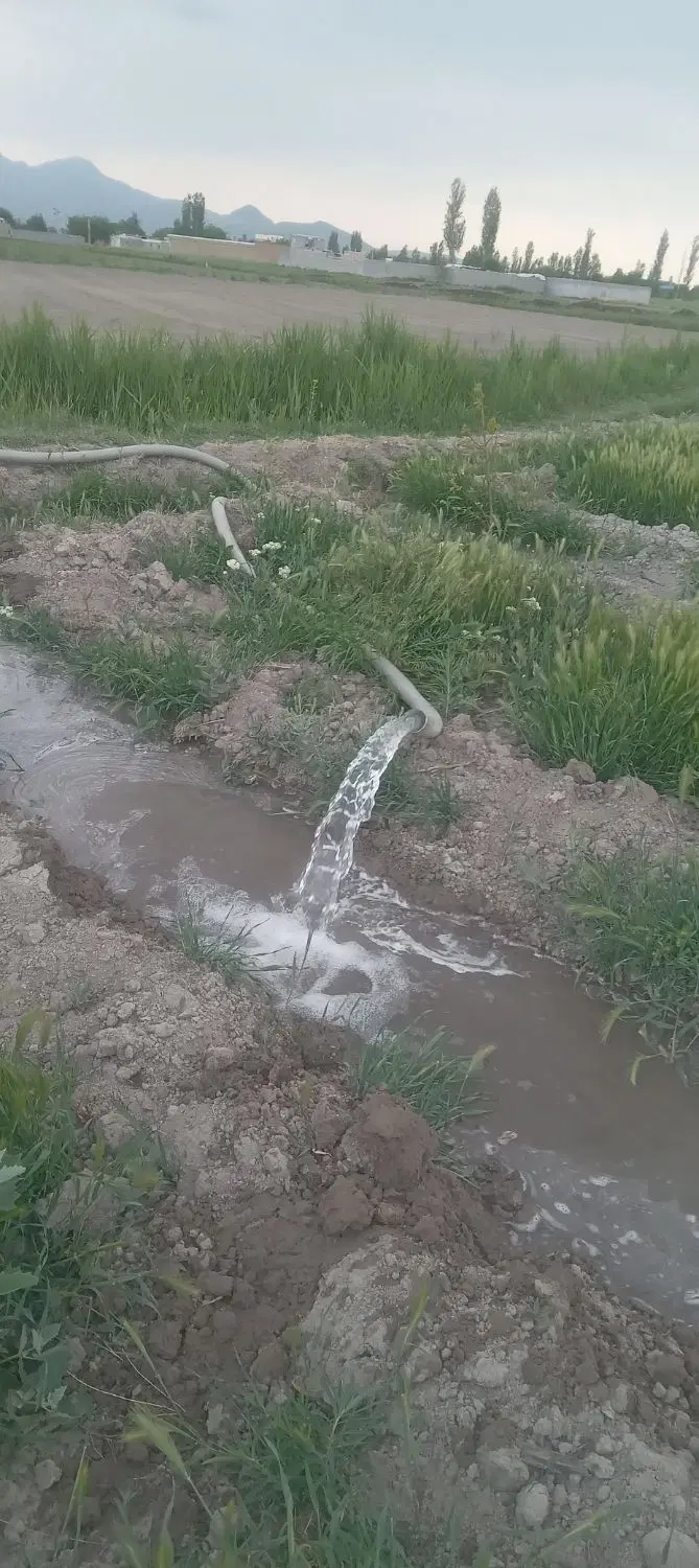 زمین کشاورزی