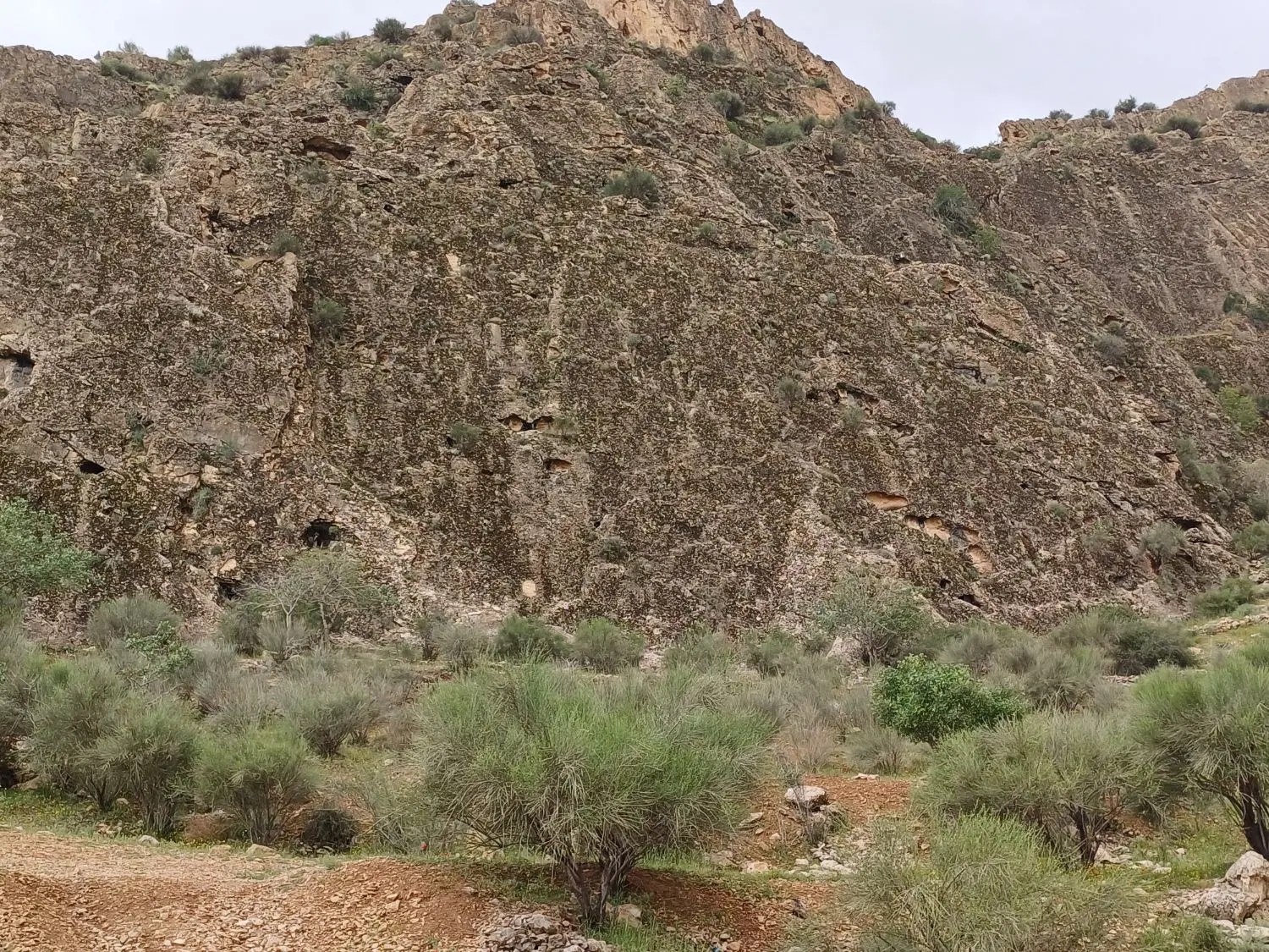 منزل ویلایی حافظ شمالی