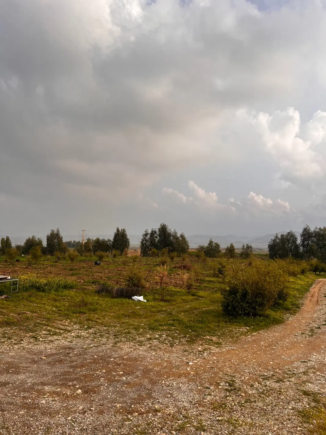 زمین مسکونی