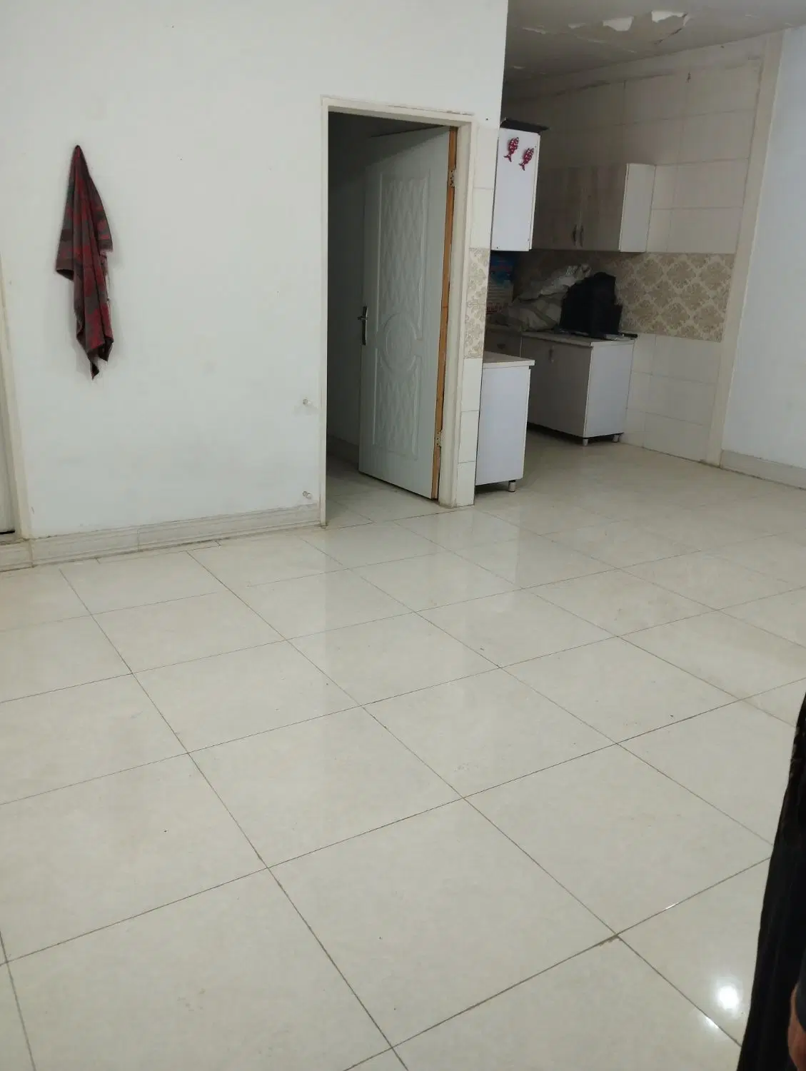 واحد تمیز عروسک