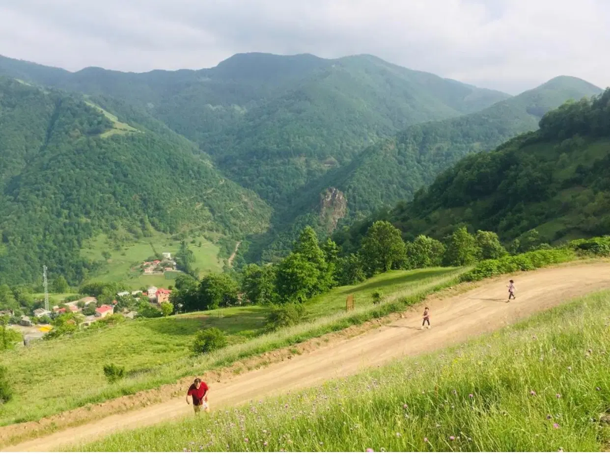 زمین ویلایی