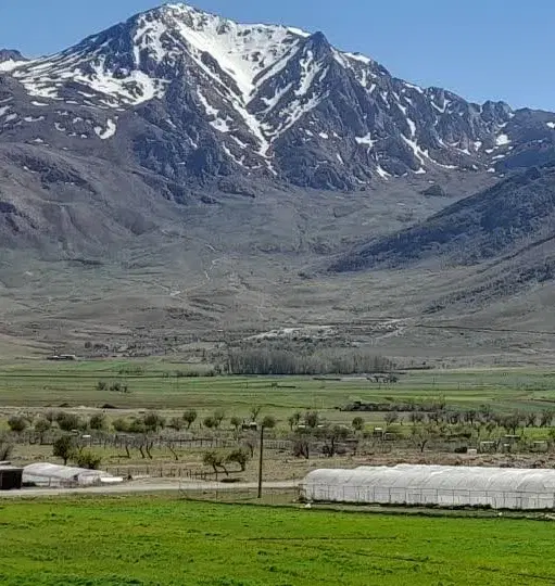 زمین فناوران هفشجان ۹۰ متری سه نبش