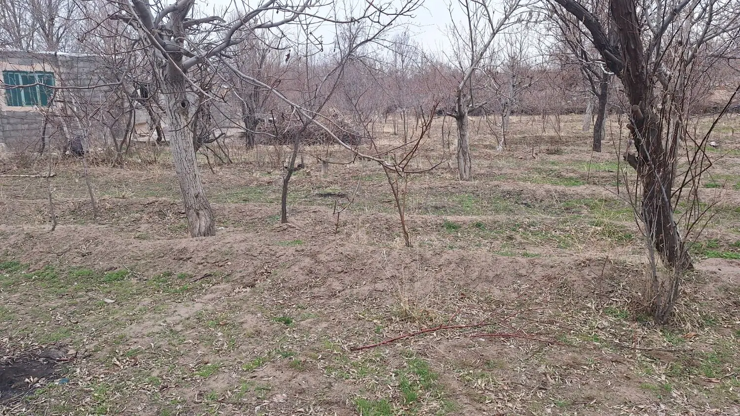 باغ زمین ویلایی
