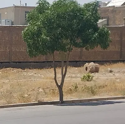 زمین مسکونی خیابان قدس