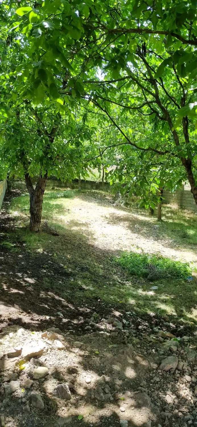 فروش زمین مسکونی