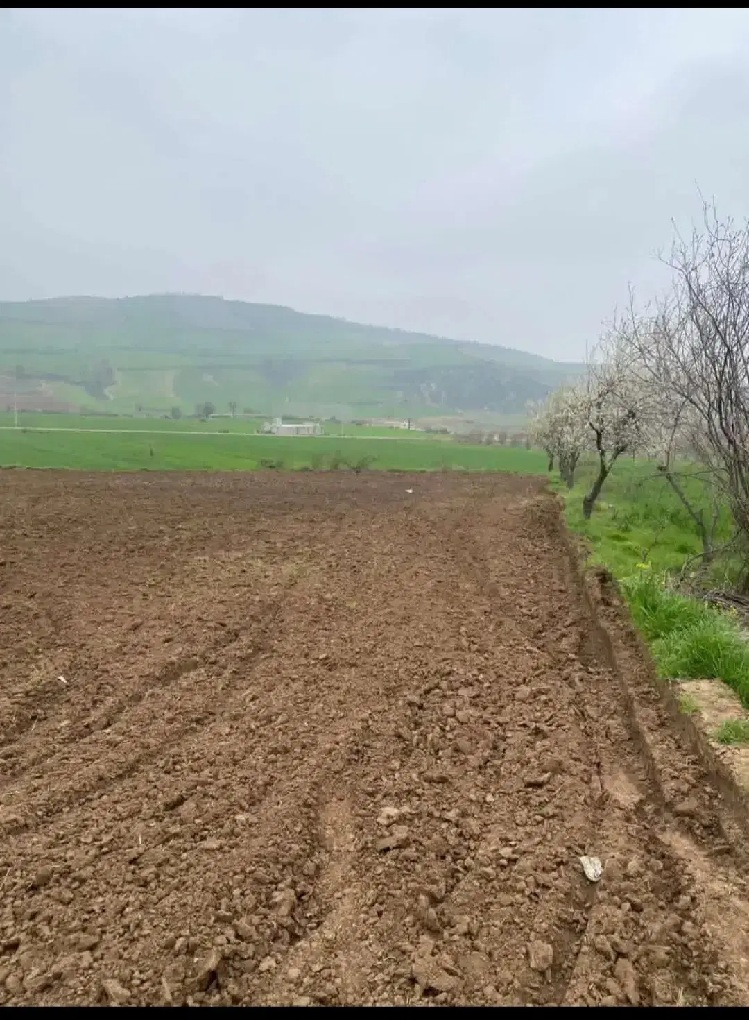 فروش زمین کشاورزی